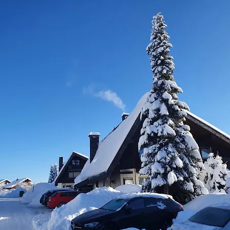Ferienhaus-schoenwald Im Herzen Des Schwarzwaldes 1zimmerwohnung+balkon App7 *