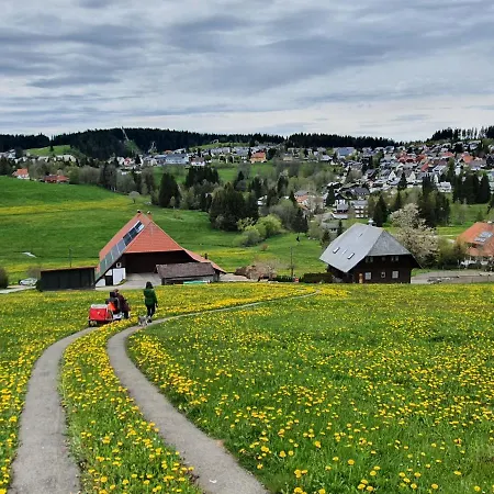 Apartment Ferienhaus-schoenwald Im Herzen Des Schwarzwaldes 1zimmerwohnung+balkon App7 Schoenwald im Schwarzwald