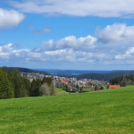 Ferienhaus-schoenwald Im Herzen Des Schwarzwaldes 1zimmerwohnung+balkon App7 Schoenwald im Schwarzwald