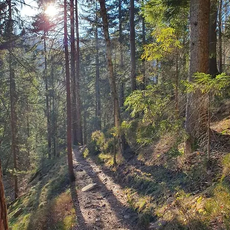 Ferienhaus-schoenwald Im Herzen Des Schwarzwaldes 1zimmerwohnung+balkon App7 * Schönwalde