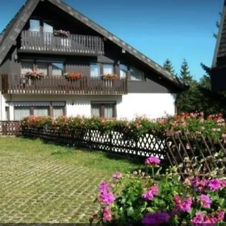 Apartment Ferienhaus-schoenwald Im Herzen Des Schwarzwaldes 1zimmerwohnung+balkon App7 *