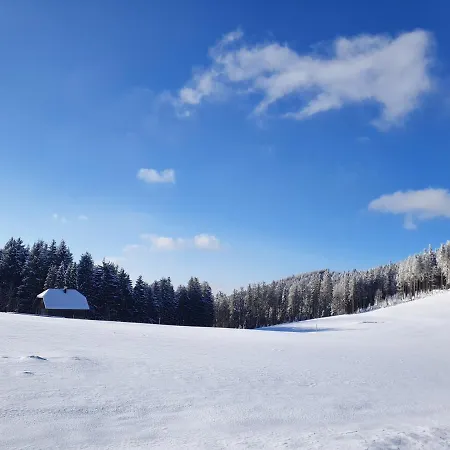 Ferienhaus-schoenwald Im Herzen Des Schwarzwaldes 1zimmerwohnung+balkon App7 Lejlighed *