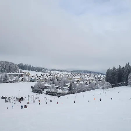 Ferienhaus-schoenwald Im Herzen Des Schwarzwaldes 1zimmerwohnung+balkon App7 Lejlighed Schönwalde