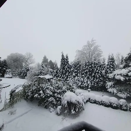 Ferienhaus-schoenwald Im Herzen Des Schwarzwaldes 1zimmerwohnung+balkon App7 Lejlighed *