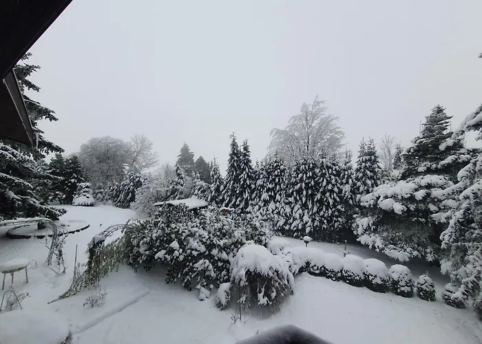 Ferienhaus-schoenwald Im Herzen Des Schwarzwaldes 1zimmerwohnung+balkon App7 Lejlighed *